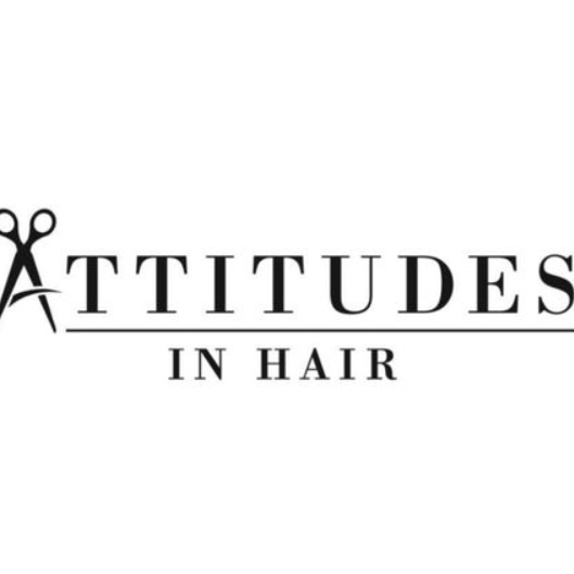 Attitudes In Hair
